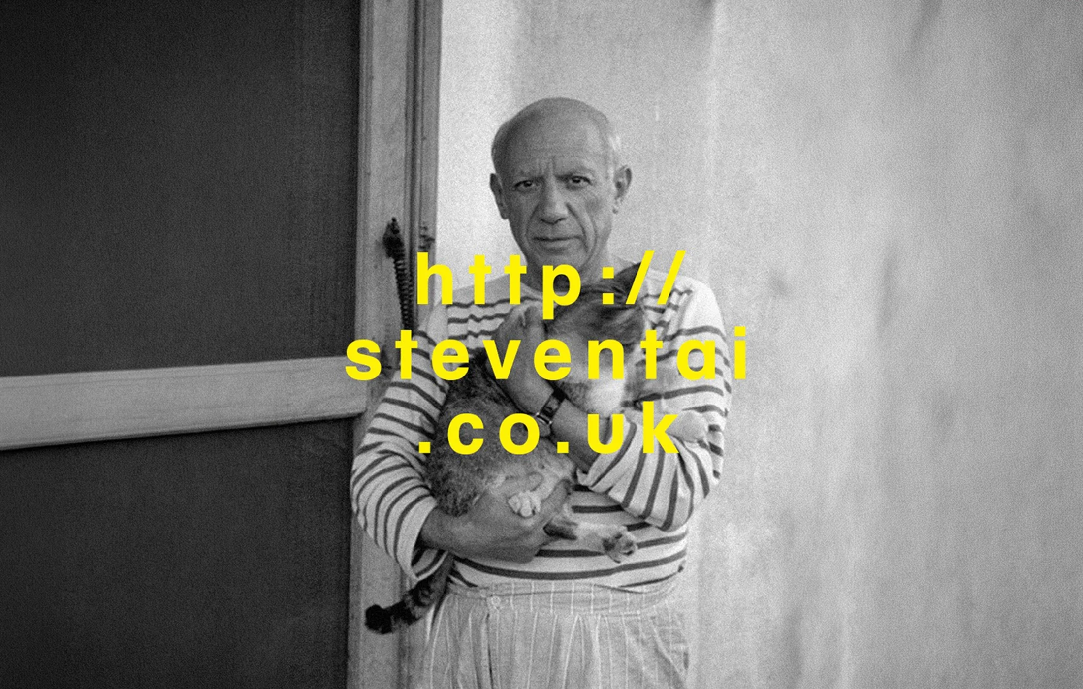 steventai – Web Design